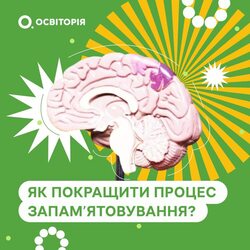 Як покращити процес запам`ятовування?