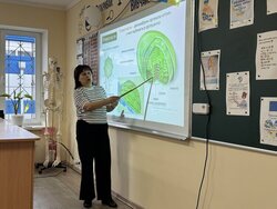 Чотири уроки офлайн: на Полтавщині у гімназії скоротили кількість уроків через відключення світла