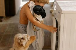 Пральний порошок чи гель: у чому різниця та на що звернути увагу