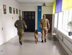 Масові “мінування” паралізують школи та установи по всій Україні