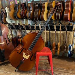 Як обрати контрабас для навчання дитини: поради для батьків