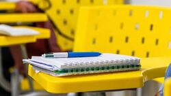 Вчитель ударив ученицю, але після інциденту його залишили працювати, а звільнили лише після відео в соцмережах: позиція ВС