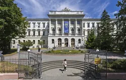 Читати, рахувати, мислити: які слабкі місця шкільної освіти оголив НМТ-2026